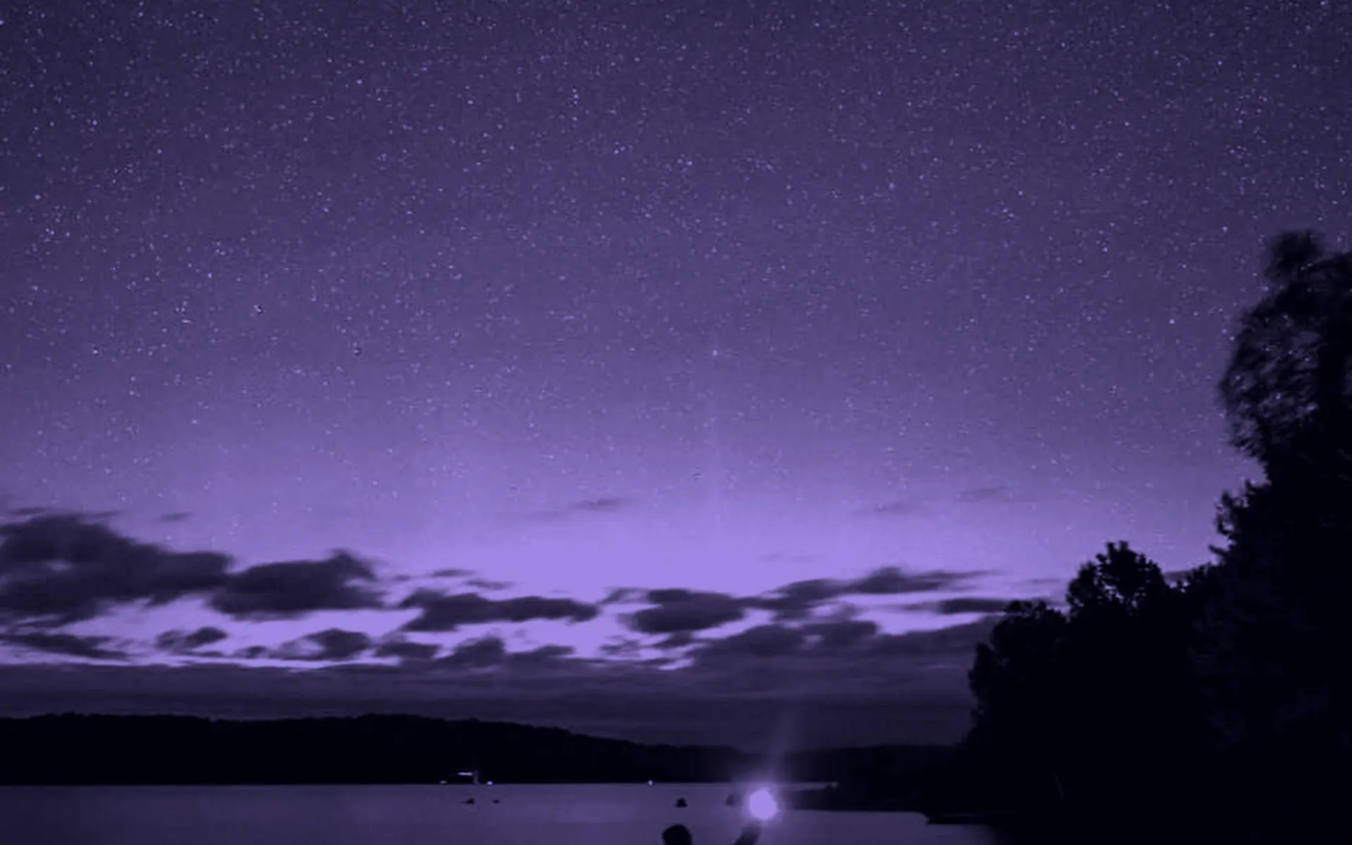 A field of stars over a still horizon at night