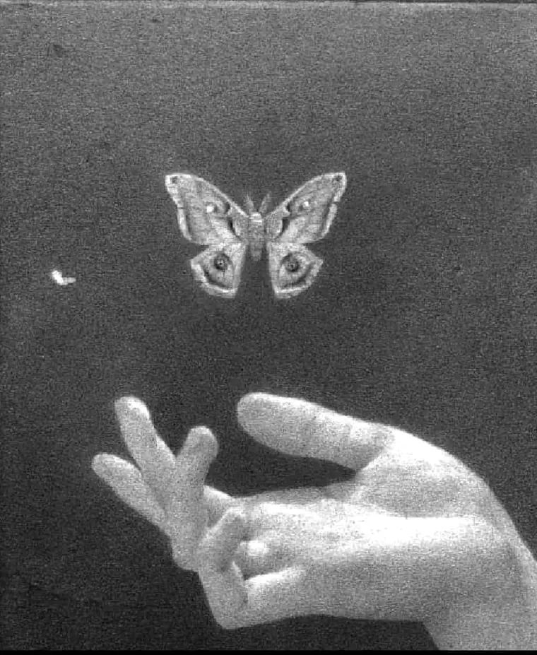 A hand releasing a butterfly, in black and white
